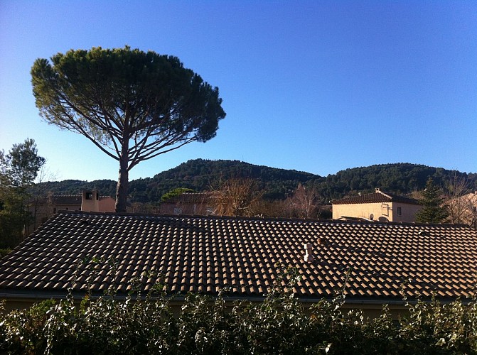 Fournier Jean-Marc "L'Estaou"