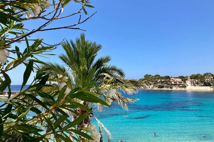 Plage de Renecros / Die Bucht von Renecros