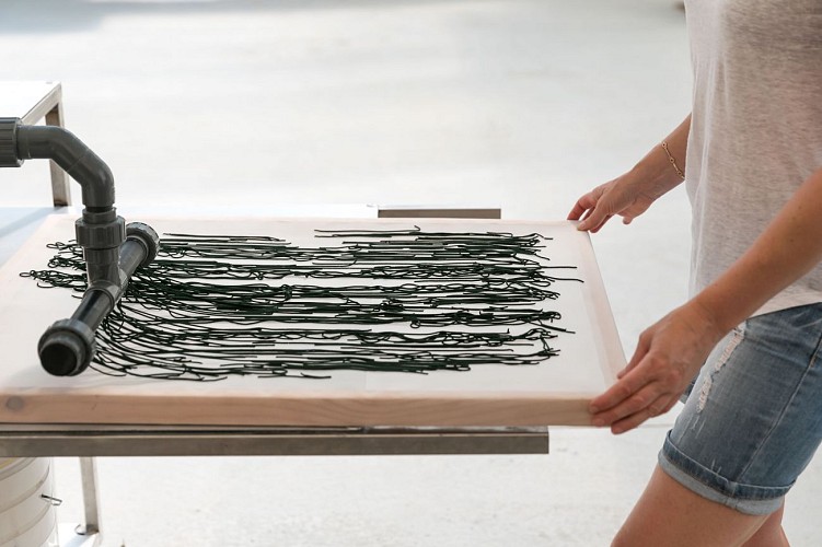 Algazur - Spiruline de la Ferme d'Alon