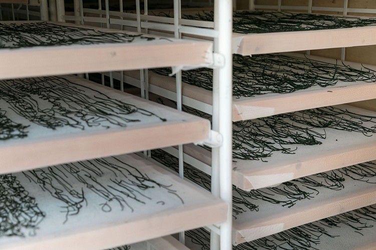 Algazur - Spiruline de la Ferme d'Alon