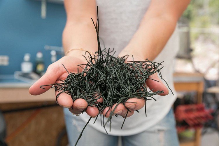 Algazur - Spiruline de la Ferme d'Alon