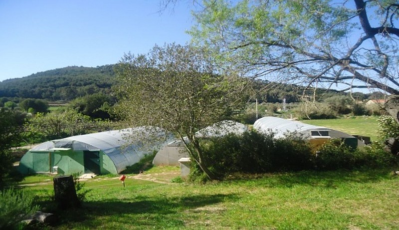 Algazur - Spiruline de la Ferme d'Alon