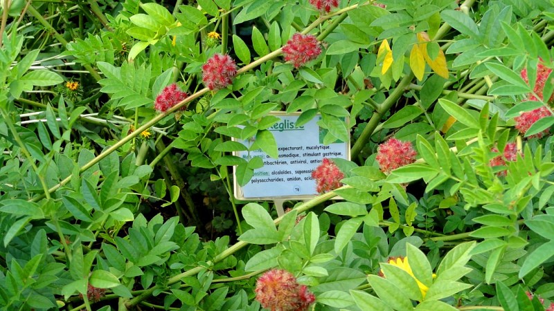 Jardin botanique de la Charme