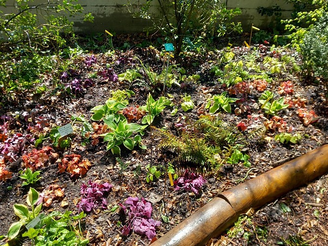 Jardin botanique de la Charme