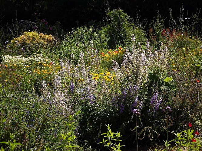 Jardin botanique de la Charme