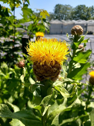 Jardin botanique de la Charme