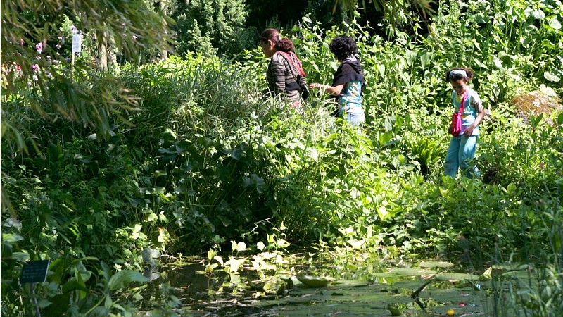 Jardin botanique de la Charme