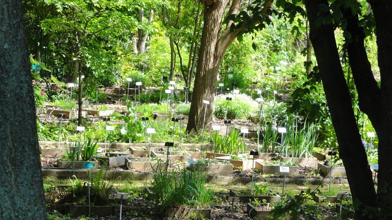 Jardin botanique de la Charme