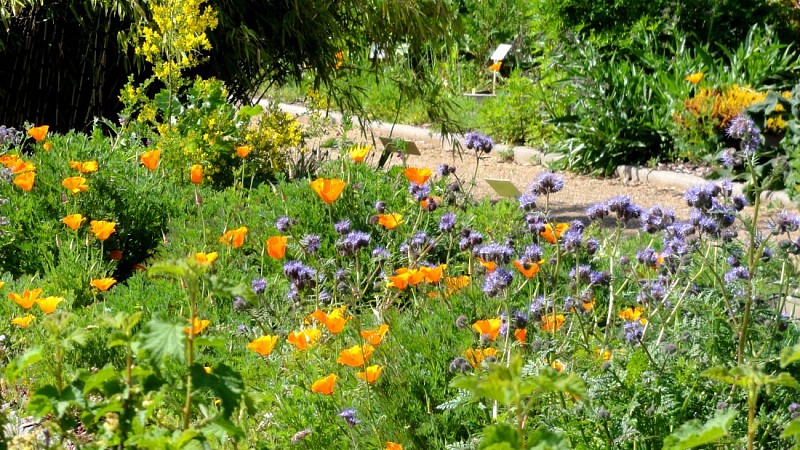 Jardin botanique de la Charme