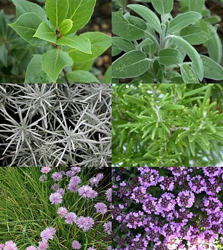 Ferme Valérie Assaud