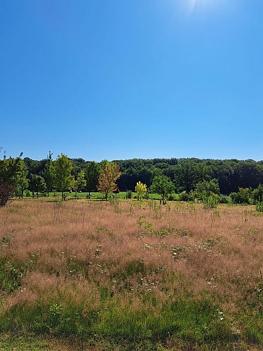 Arboretum in Etrez
