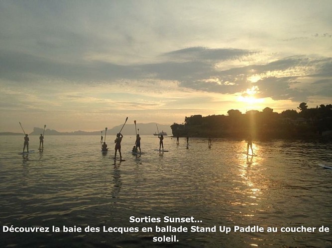 Cours collectifs et particuliers de Surf et Stand up Paddle  - L.E.C Surf Club
