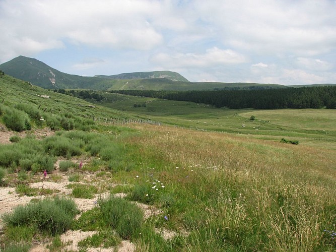 Montagne du Mont