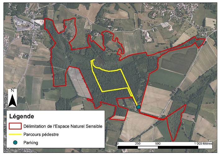 Save Sensitive Natural Area, Forêt de la Laurentière sector