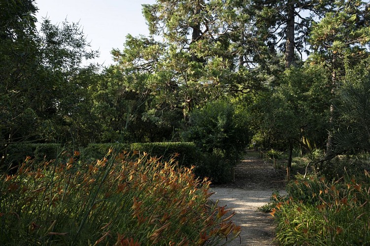 Harmas Jean-Henri Fabre Gardens