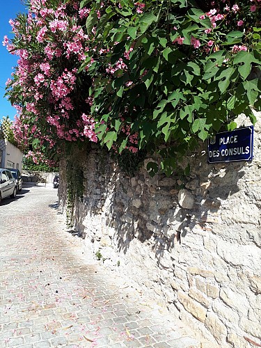 Place des Consuls