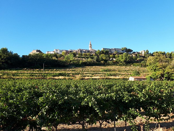 Le Castrum