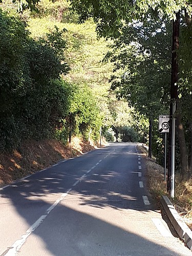 Avenue Henri Jansoulin