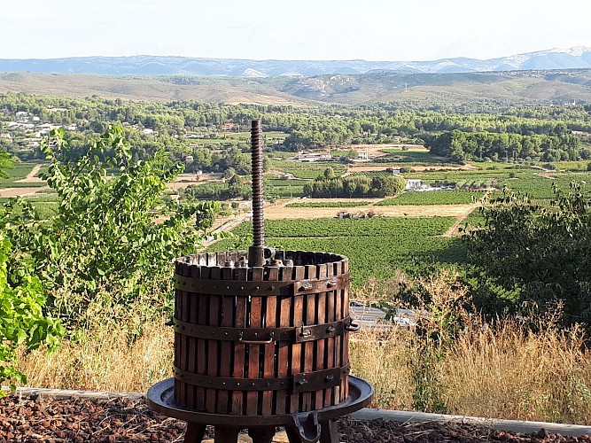 Avenue Henri Jansoulin