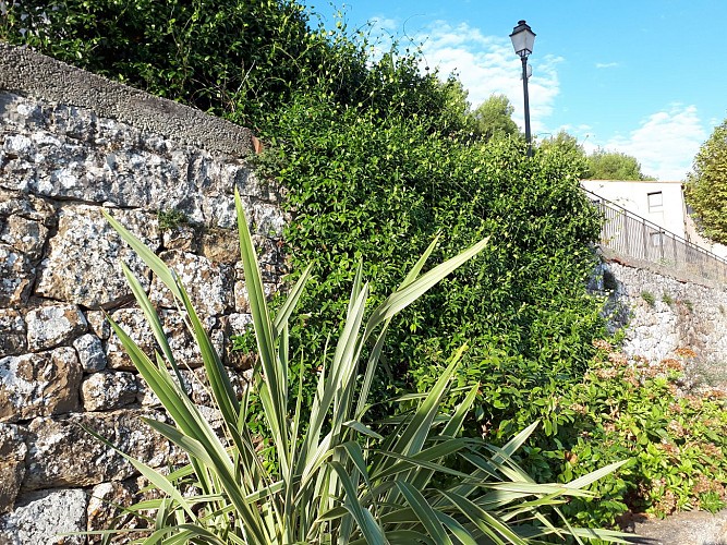 Avenue Henri Jansoulin