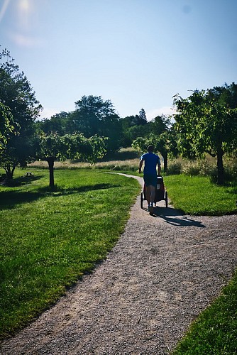 Parcours d'orientation