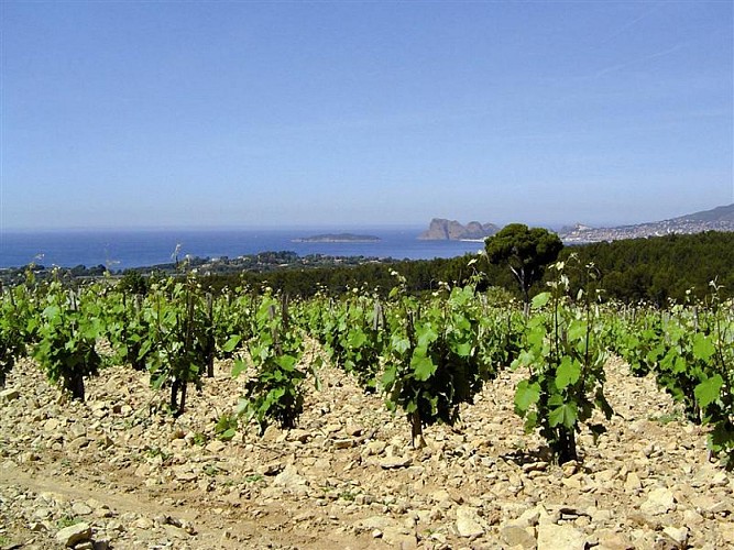 La Cave et Cie by Le Moulin de la Roque