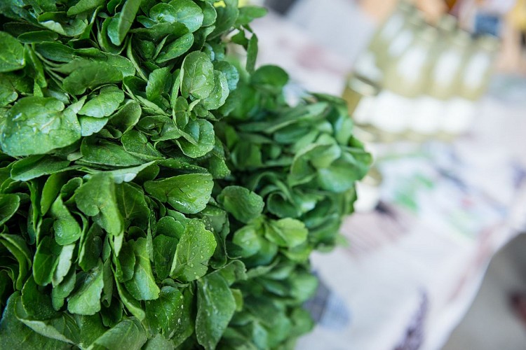 La Cressonnière de l'Alouette