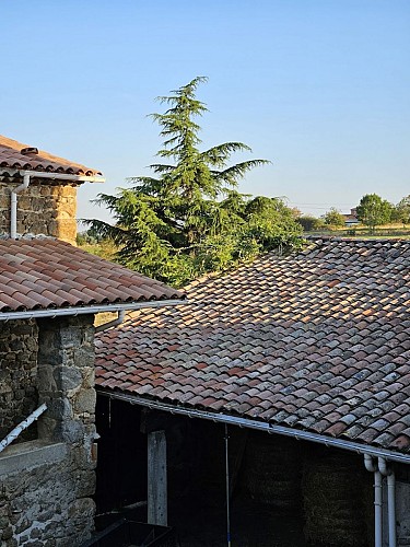 Chambre d'hôtes Ferme de la Combe