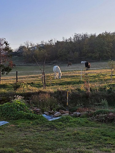 Chambre d'hôtes Ferme de la Combe