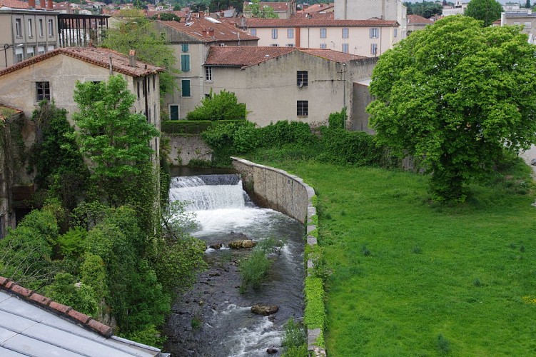 Les Camélias - Chambres d'Hôtes