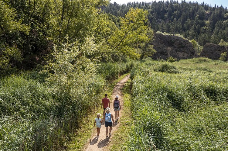 Discover the Ornithological site