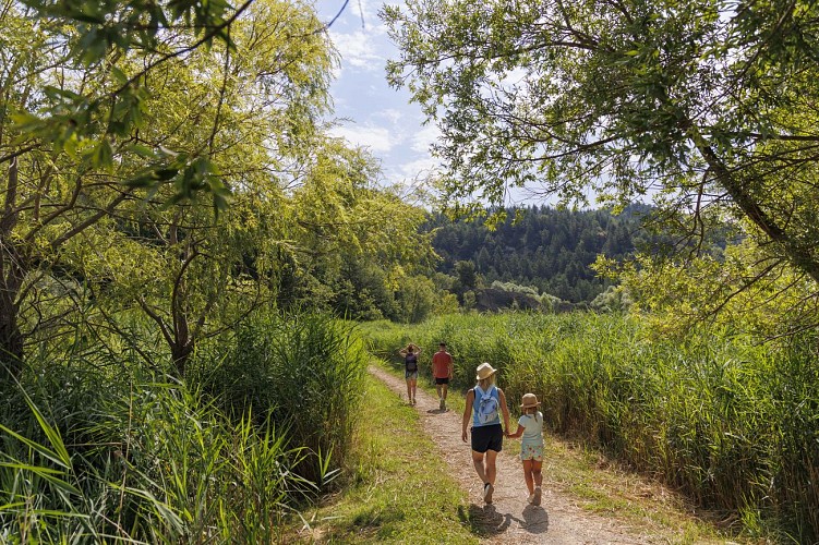 Discover the Ornithological site