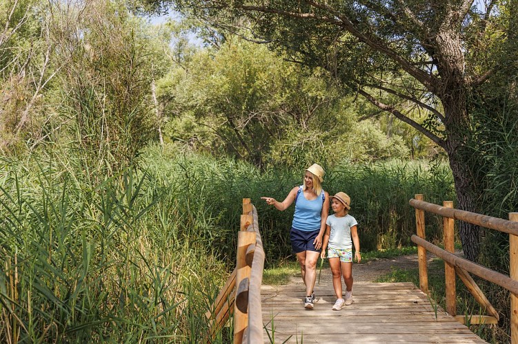 Discover the Ornithological site