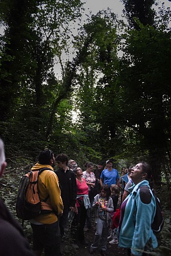 Twilight walk among the volcanoes