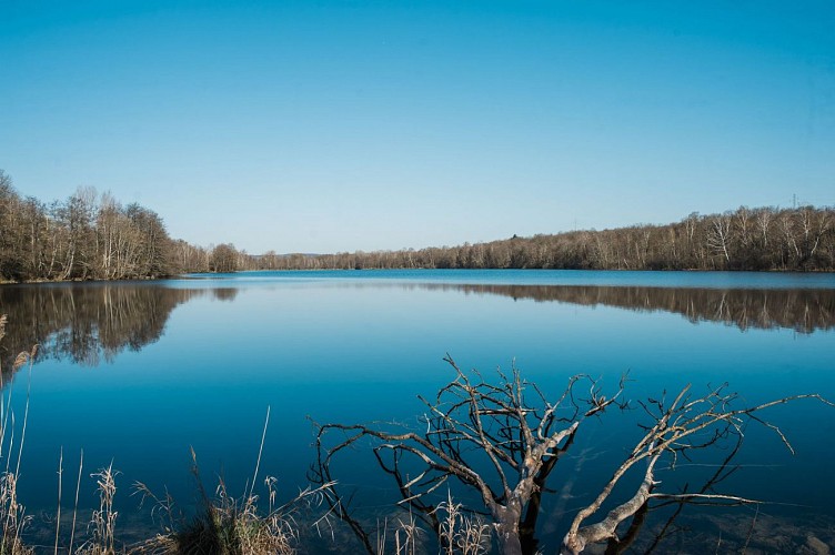 Espace Naturel Sensible de la Save - Secteur du lac de Save