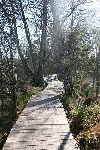 Espace Naturel Sensible de la Save - Secteur du lac de Save