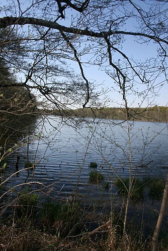 Espace Naturel Sensible de la Save - Secteur du lac de Save