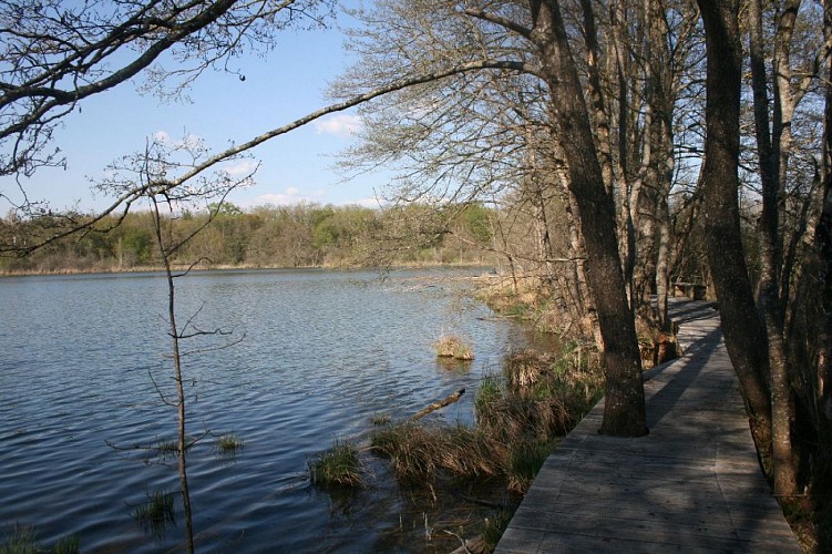 Espace Naturel Sensible de la Save - Secteur du lac de Save