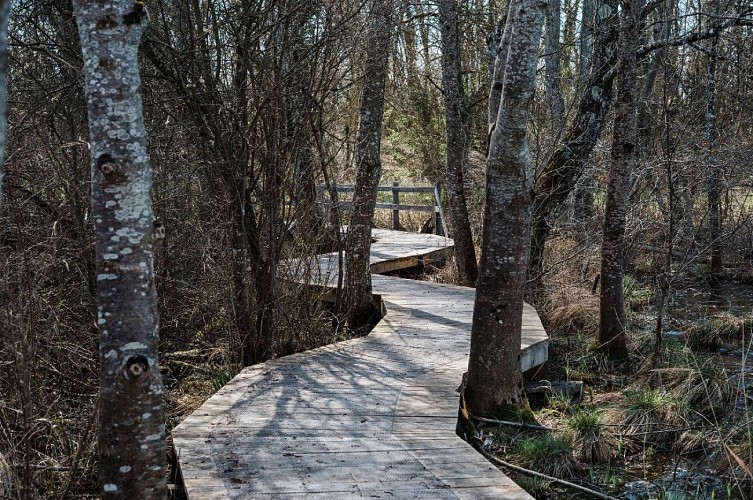 Espace Naturel Sensible de la Save - Secteur du lac de Save