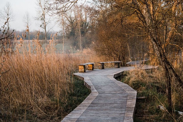 Espace Naturel Sensible de la Save - Secteur du lac de Save