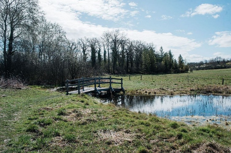 Espace Naturel Sensible de la Save - Secteur du lac de Save
