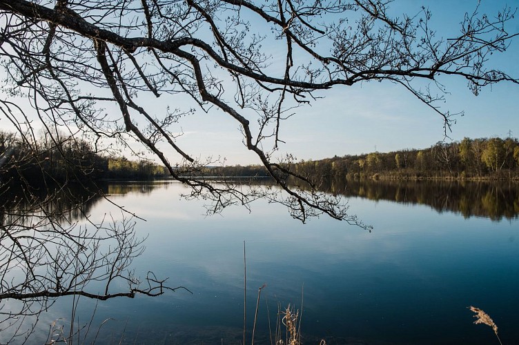 Espace Naturel Sensible de la Save - Secteur du lac de Save