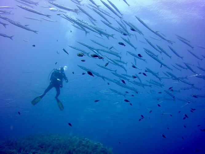 Explorations - Lecques Aquanaut