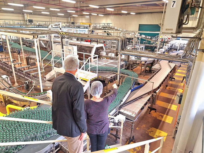 Guided tour of Badoit spring in Saint-Galmier