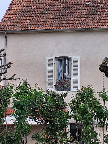 Maison Commandant Blaison