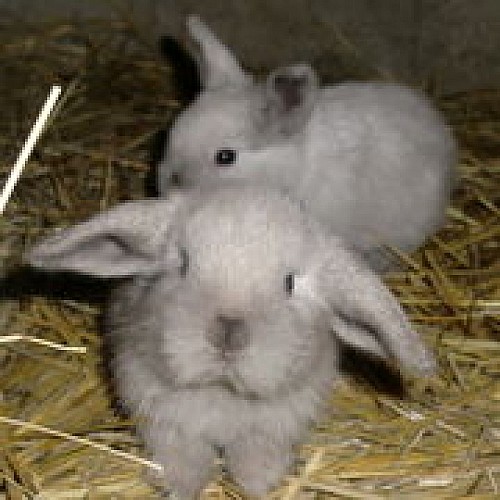 Relais nature de Bièvres