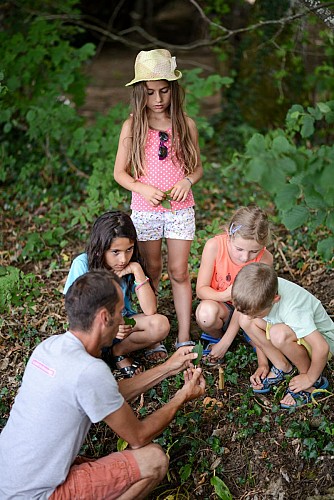 Promenons-nous dans les bois