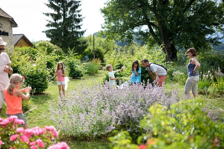 Promenons-nous dans les bois