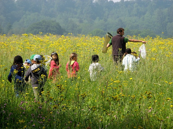 Promenons-nous dans les bois
