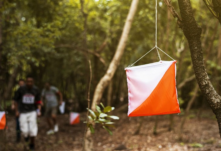Promenons-nous dans les bois
